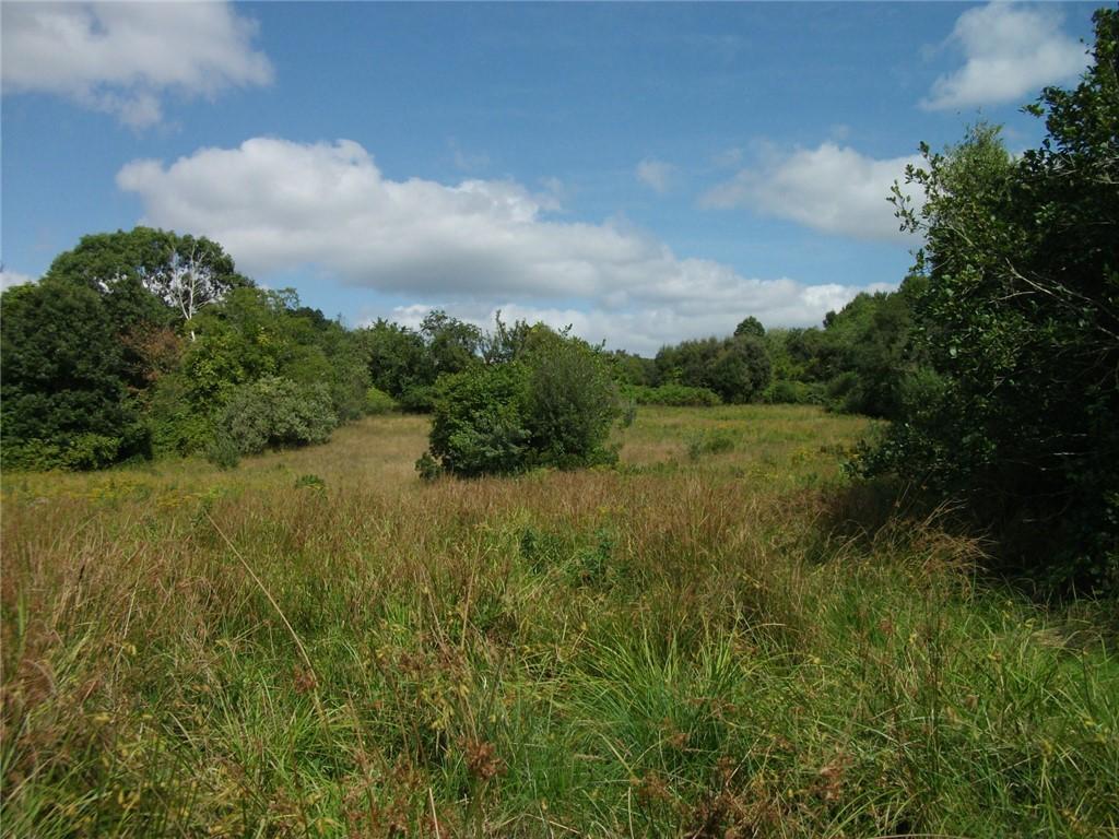 Image 3: Mid field near the pond