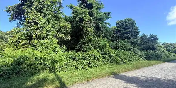 Image 2: Street View