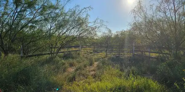 33140 Share 27 Rd. # 8, Los Fresnos TX 78566