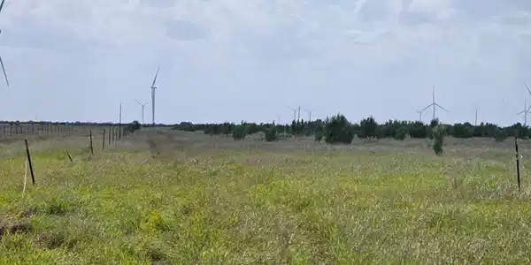 21586 Fm 1847, Rio Hondo TX 78566