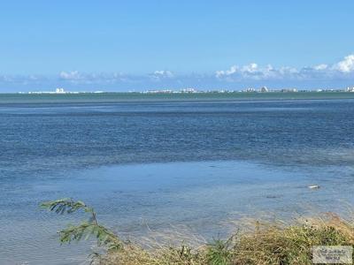 HWY 100 Hwy 100, Port Isabel TX 78578