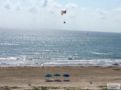 110 Padre Blvd. # 212, South Padre Island TX 78597