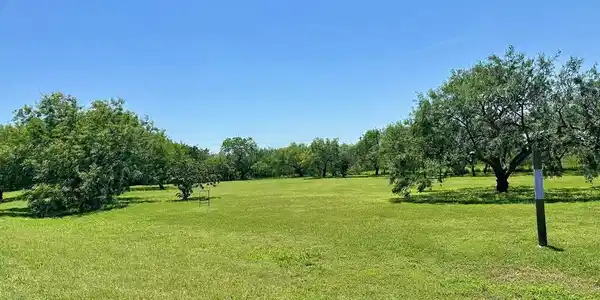 37144 Marshall Hutts Rd., Arroyo City TX 78583