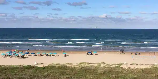 110 Padre Blvd. # 206, South Padre Island TX 78597