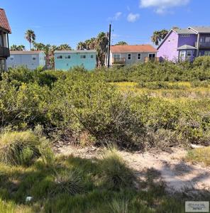 217 W Hibiscus, South Padre Island TX 78597