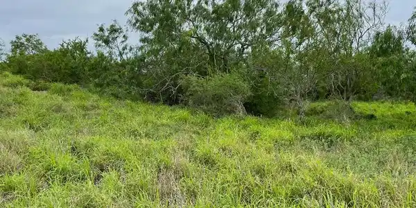Lots Hwy 100, Los Fresnos TX 78566 15