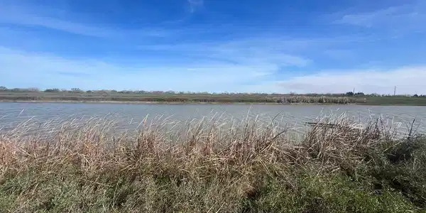 Lot 16 Paredes Line Rd. # 16, Los Fresnos TX 78501