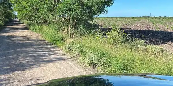 Bayview Citrus Grove, Bayview TX 78566
