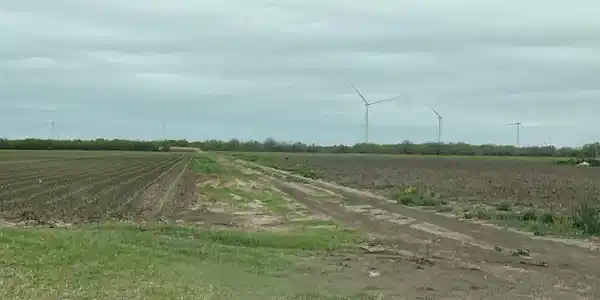 25 ACRES-- El Preseno Rd., Rio Hondo TX 78583