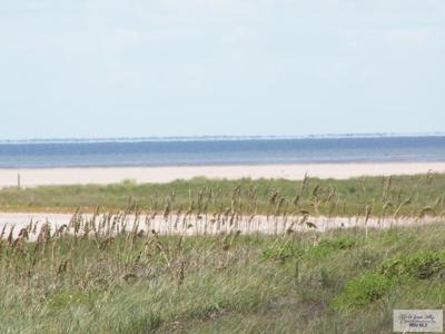 Lot 8 Other # 8, South Padre Island TX 78597