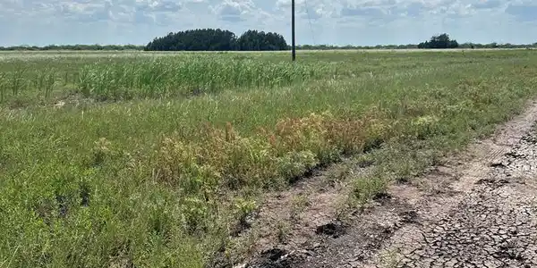 .5510 Acres Del Mar Ave., Los Fresnos TX 78566