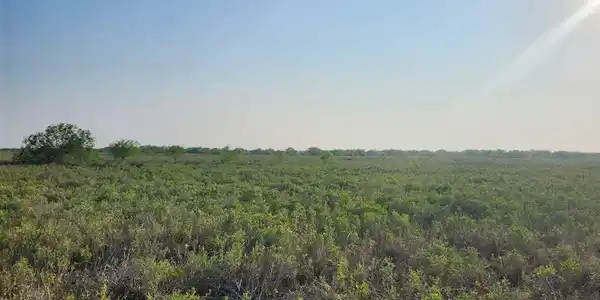 Hwy 100, Brownsville TX 78526