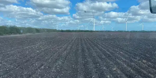 3.78 Acres- Fernando Rd, Rio Hondo TX 78583