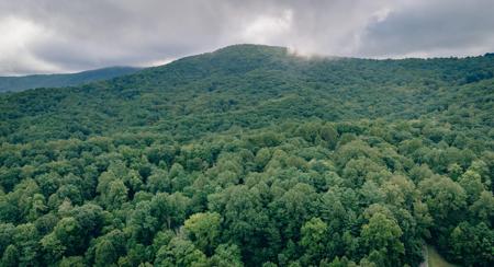 Lot #na Crowell Gap RD