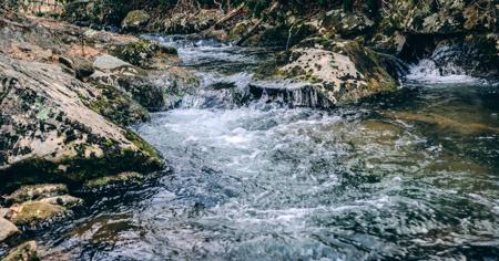 Lot #na Bottom Creek RD