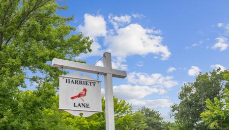 14 Harriet Lane