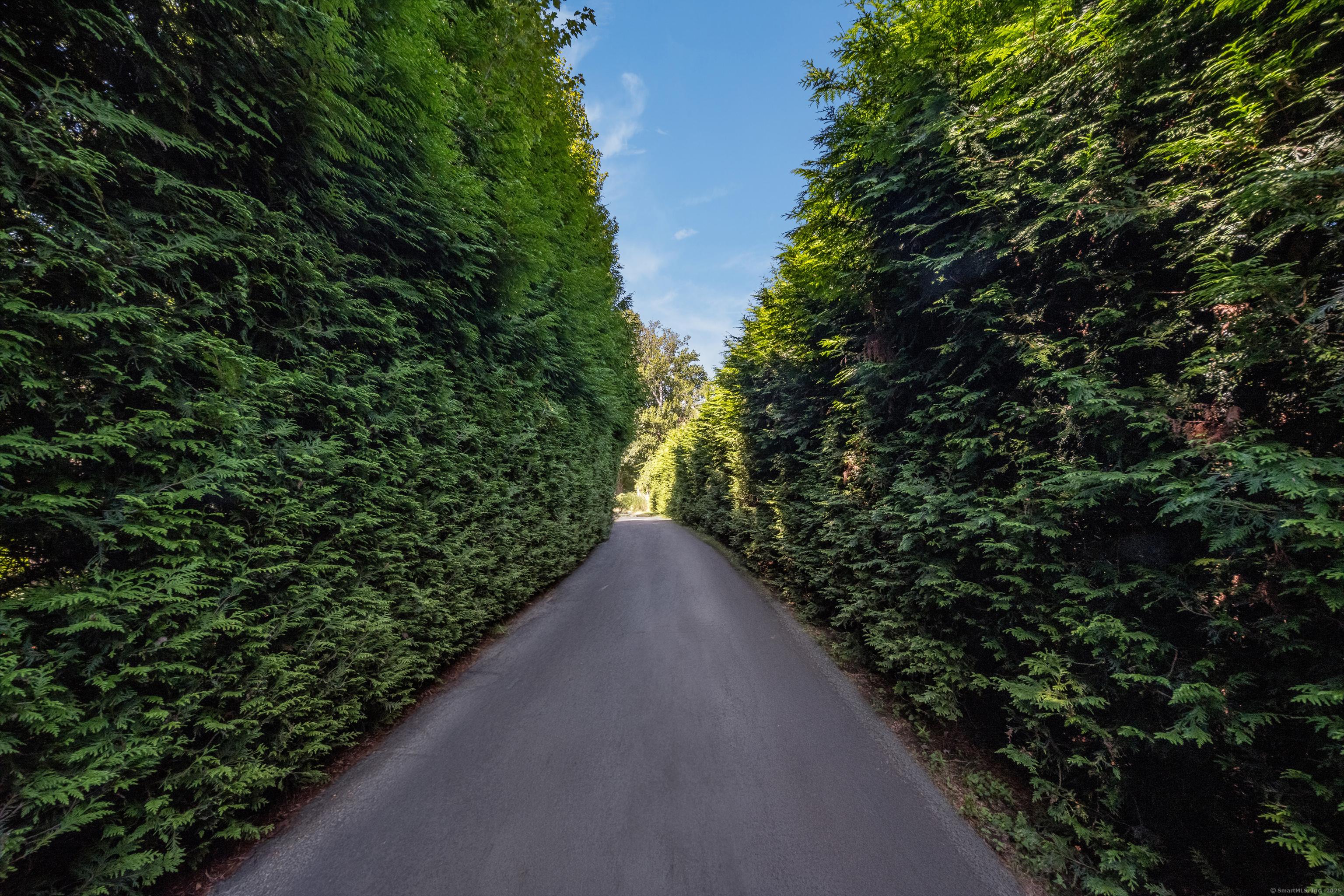 Image 3: Private entry - interior lot