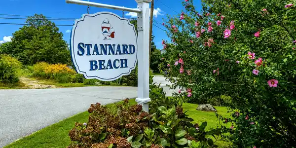 Image 3: Welcome to the beach!
