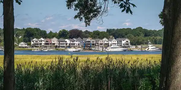 Image 4: View across the water