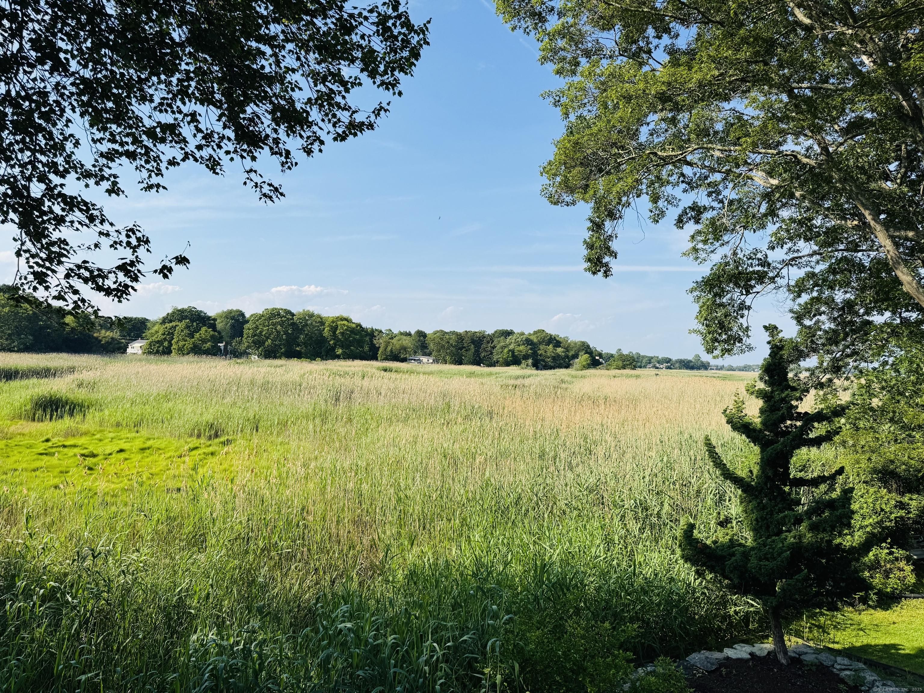 Image 3: Enjoy the view from the deck and all the rooms in the back of the house.