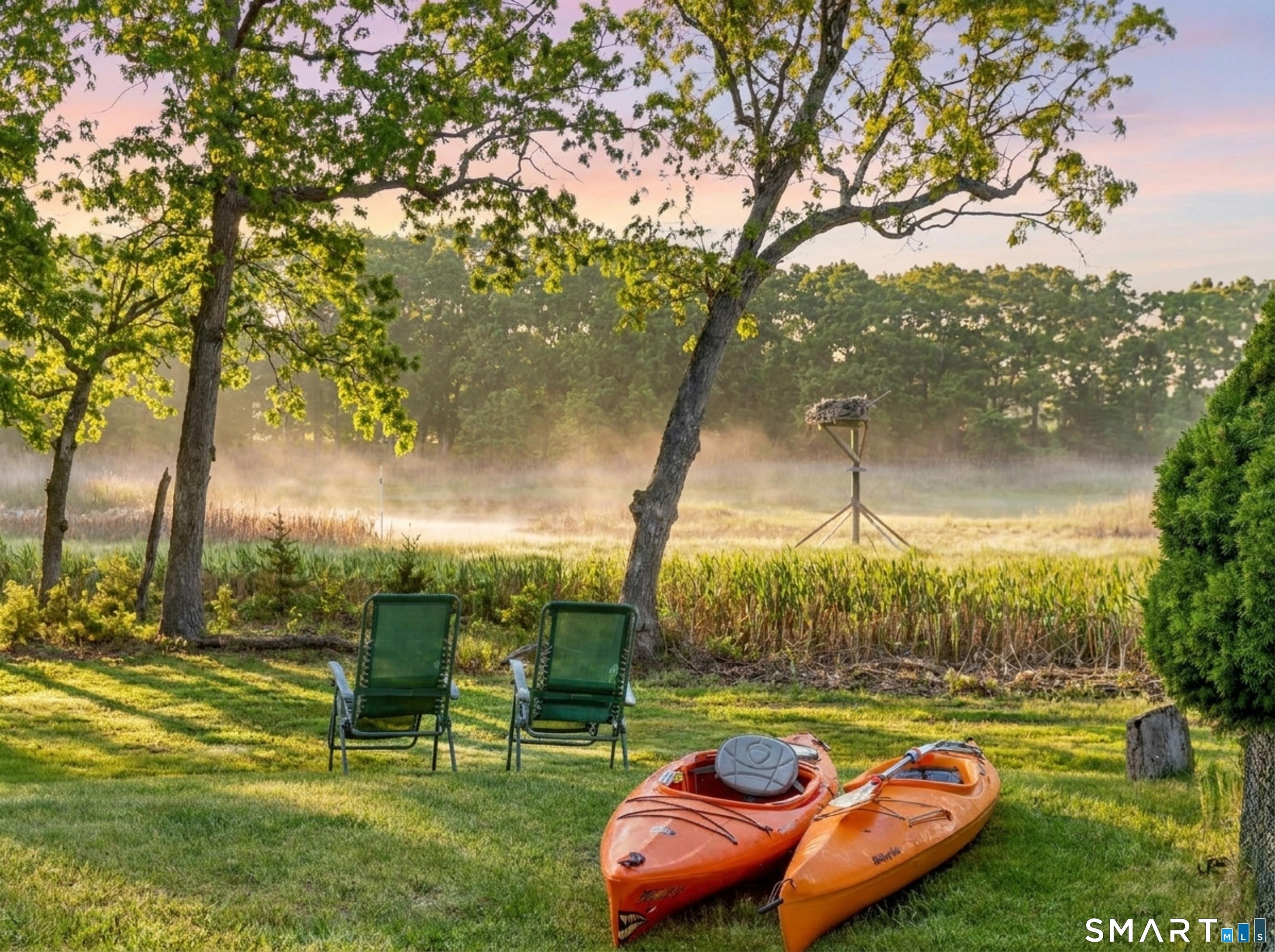 Image 3Back Yard: Up for an early morning kayak on Hayden's Creek?