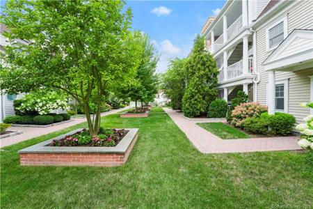 51 Forest Avenue
