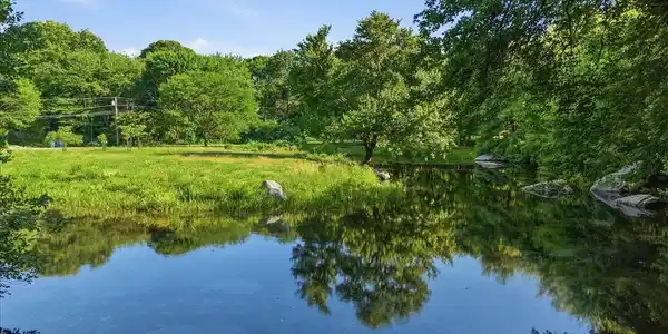 Image 3View: Stunning views of the pond