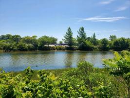 10 Shore Drive