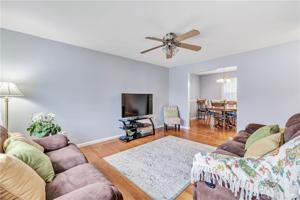 17 Locust Street
