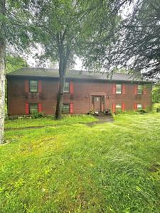 18 Rose Lane