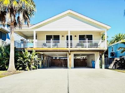 650 Sandpiper