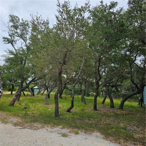419R RABBIT RUN RD
