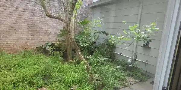 Image 4: garden side yard