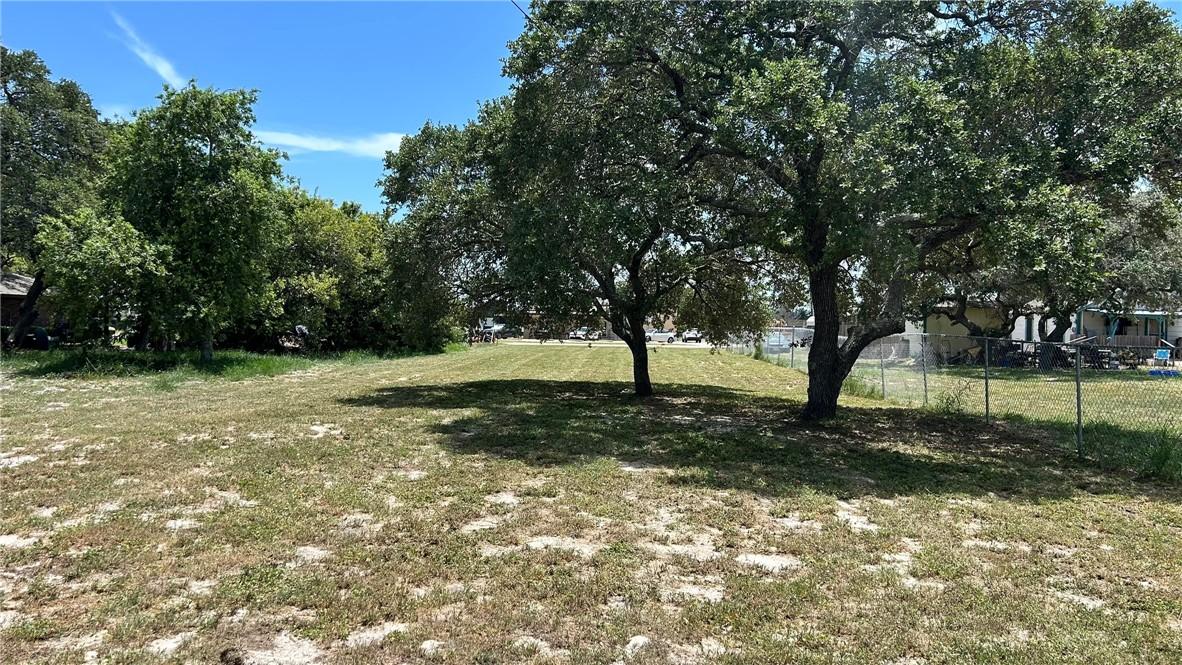 Image 4: A couple of really nice shade trees near the rear