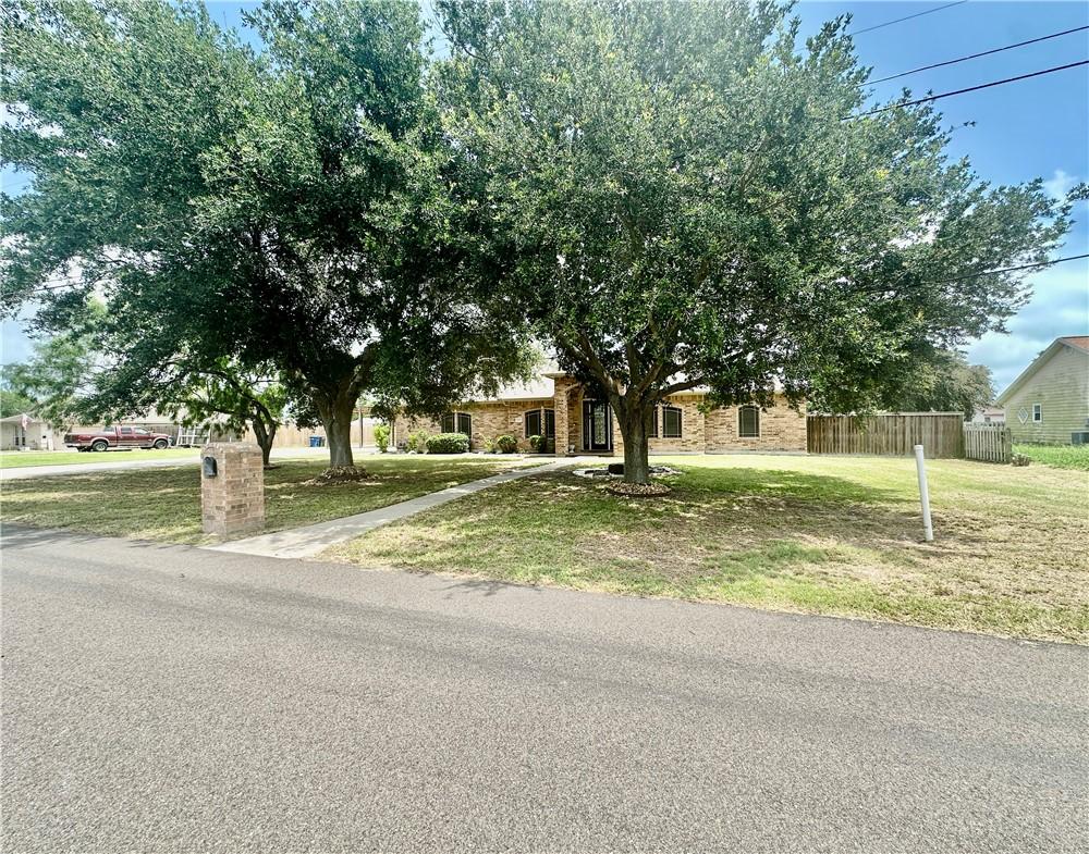 Image 3: Established Oak trees!
