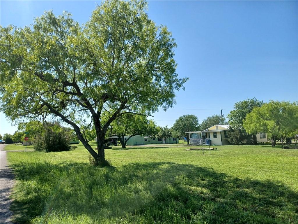 Image 2: Beautiful Mature trees!