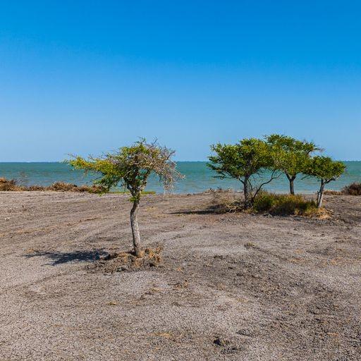 Image 4: Land was just cleared in these photos, but now is