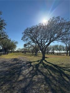 6323 County Road 1612