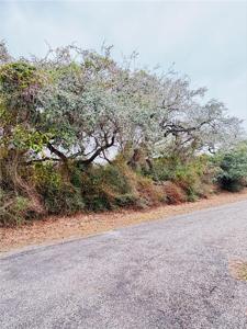 38 Oakshore Loop