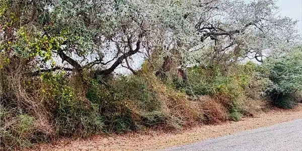 38 Oakshore Loop