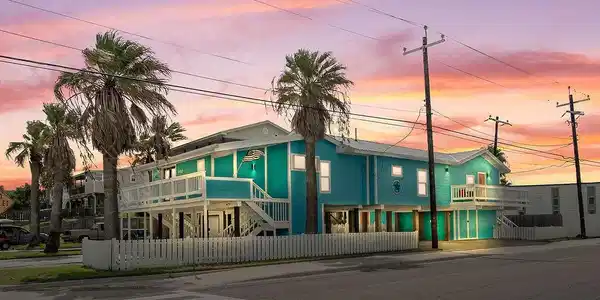 602 Palimino N