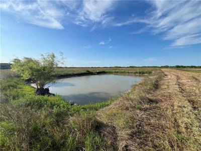 4416 County Road 1177