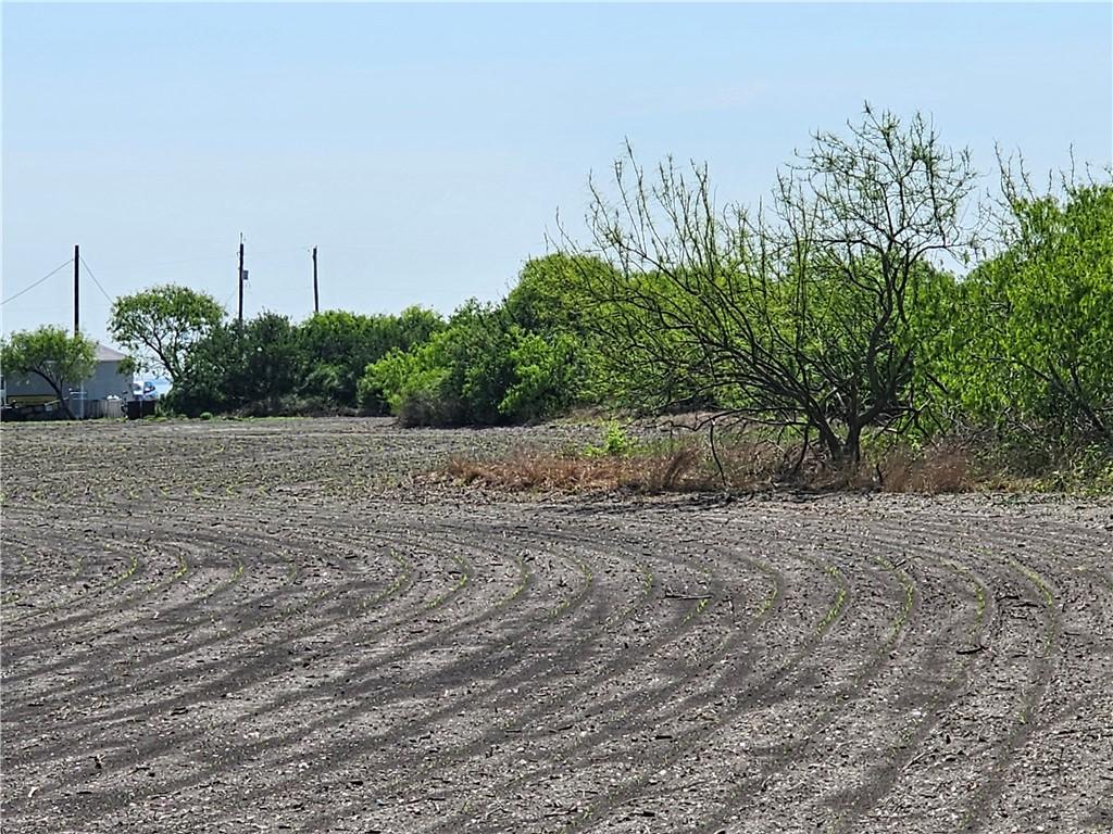 Image 2: partially cleared