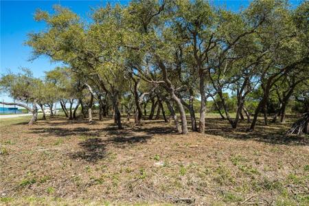 Lot 21 Vineyard Street