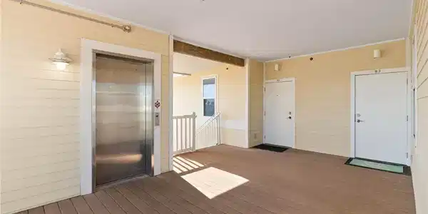 28 Sandollar
