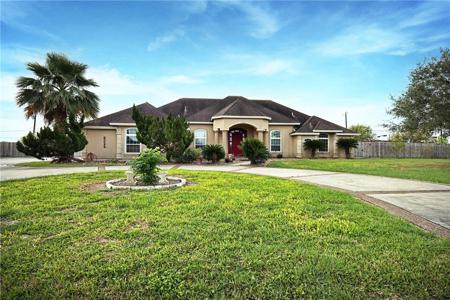 5325 Wild Olive