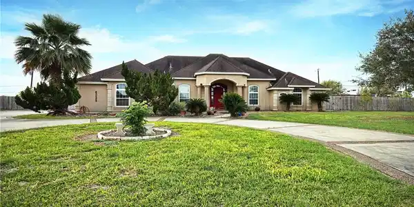 5325 Wild Olive