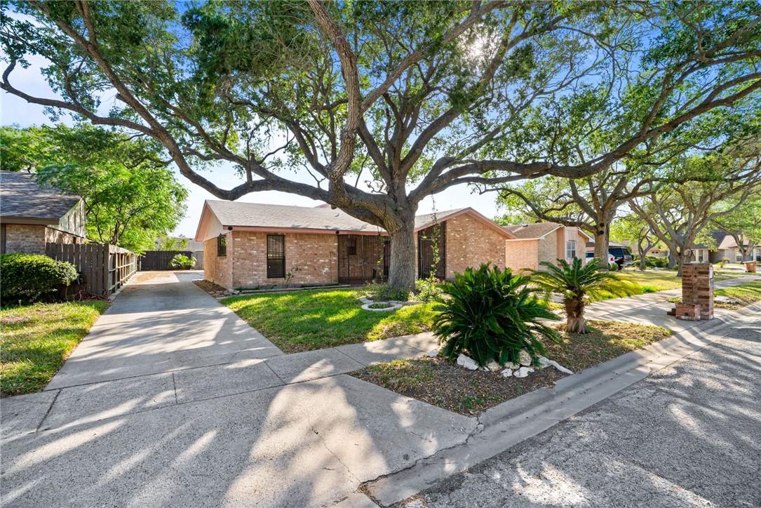 Image 2: Long Driveway