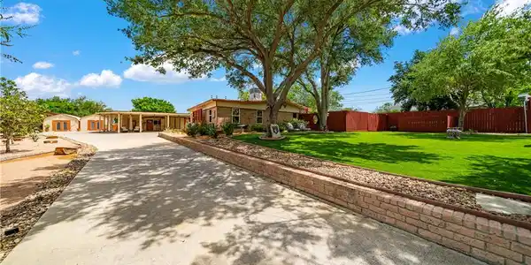 Image 2: High quality turf for year round green lawns.