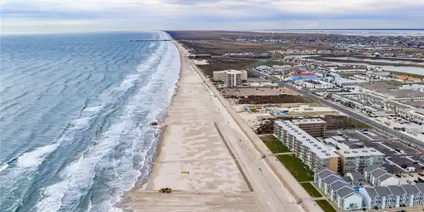 Image 4: Seagull's view of the shoreline looking south